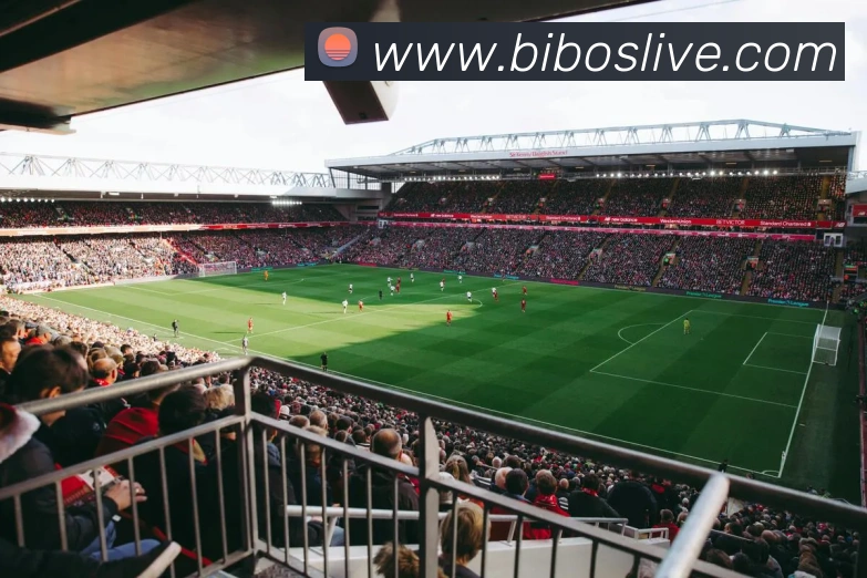 必博体育APP 体育赛事宣传图